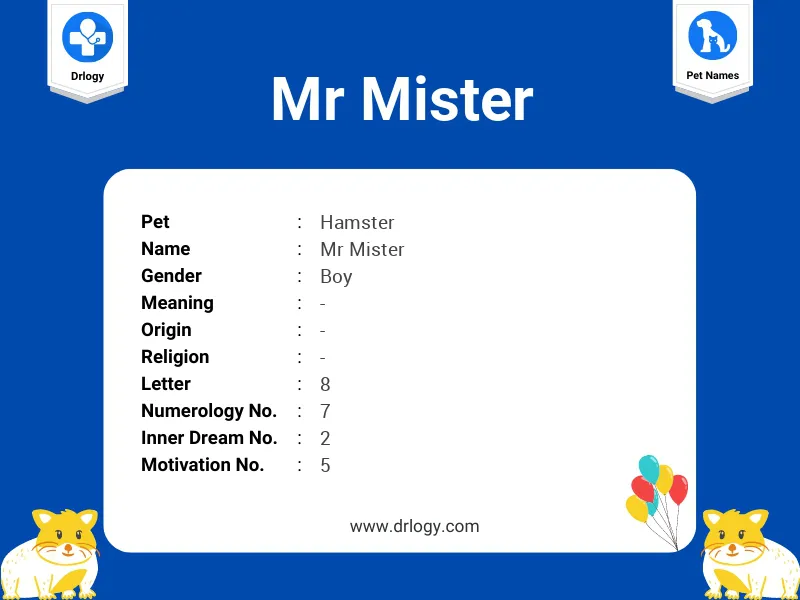 Mr Mister Name Meaning